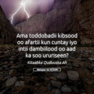 Picture 05 - Matayos 16:10 SOM - Ama toddobadii kibsood oo afartii kun cuntay iyo - Bible Verse Picture