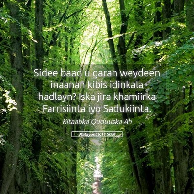 Picture 05 - Matayos 16:11 SOM - Sidee baad u garan weydeen inaanan kibis idinkala - Bible Verse Picture