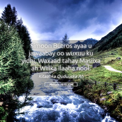 Picture 05 - Matayos 16:16 SOM - Simoon Butros ayaa u jawaabay oo wuxuu ku yidhi, - Bible Verse Picture