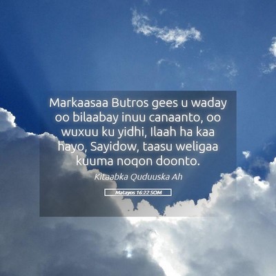 Picture 05 - Matayos 16:22 SOM - Markaasaa Butros gees u waday oo bilaabay inuu - Bible Verse Picture