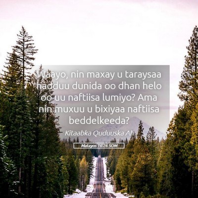 Picture 05 - Matayos 16:26 SOM - Waayo, nin maxay u taraysaa hadduu dunida oo dhan - Bible Verse Picture