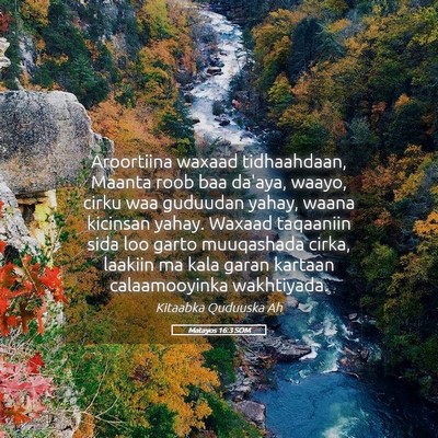 Picture 05 - Matayos 16:3 SOM - Aroortiina waxaad tidhaahdaan, Maanta roob baa - Bible Verse Picture