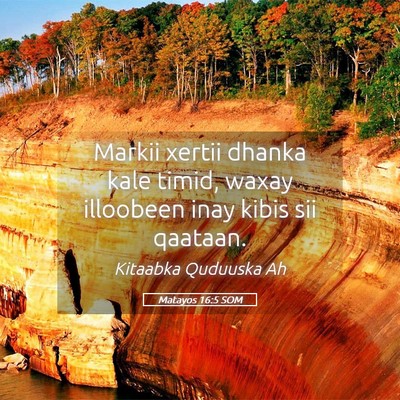 Picture 05 - Matayos 16:5 SOM - Markii xertii dhanka kale timid, waxay illoobeen - Bible Verse Picture