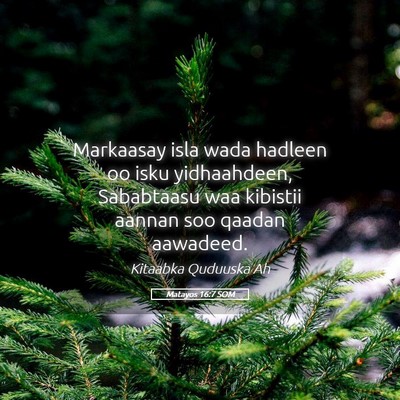 Picture 05 - Matayos 16:7 SOM - Markaasay isla wada hadleen oo isku yidhaahdeen, - Bible Verse Picture