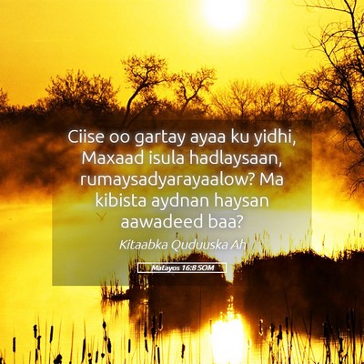 Picture 05 - Matayos 16:8 SOM - Ciise oo gartay ayaa ku yidhi, Maxaad isula - Bible Verse Picture