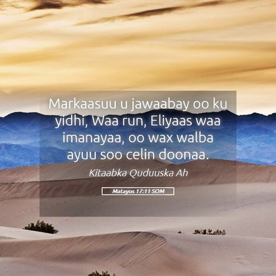 Picture 05 - Matayos 17:11 SOM - Markaasuu u jawaabay oo ku yidhi, Waa run, - Bible Verse Picture