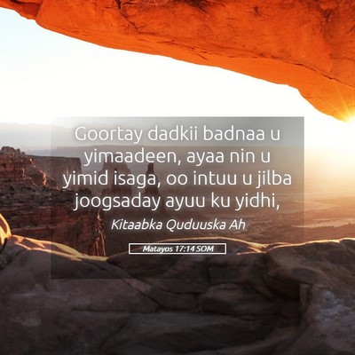 Picture 05 - Matayos 17:14 SOM - Goortay dadkii badnaa u yimaadeen, ayaa nin u - Bible Verse Picture