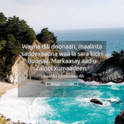 Picture 05 - Matayos 17:23 SOM - Wayna dili doonaan, maalinta saddexaadna waa la - Bible Verse Picture