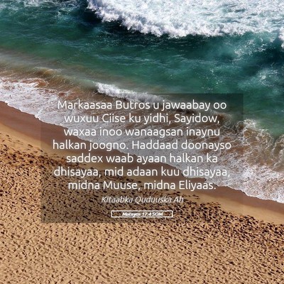 Picture 05 - Matayos 17:4 SOM - Markaasaa Butros u jawaabay oo wuxuu Ciise ku - Bible Verse Picture