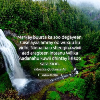 Picture 05 - Matayos 17:9 SOM - Markay buurta ka soo degayeen, Ciise ayaa amray - Bible Verse Picture