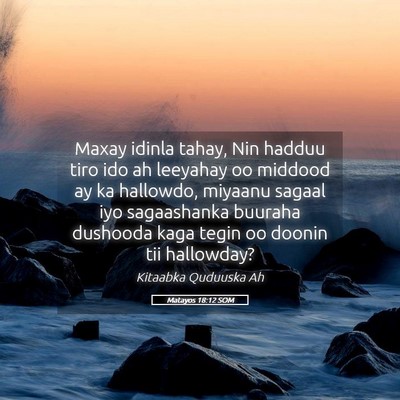 Picture 05 - Matayos 18:12 SOM - Maxay idinla tahay, Nin hadduu tiro ido ah - Bible Verse Picture