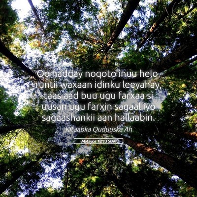 Picture 05 - Matayos 18:13 SOM - Oo hadday noqoto inuu helo, runtii waxaan idinku - Bible Verse Picture