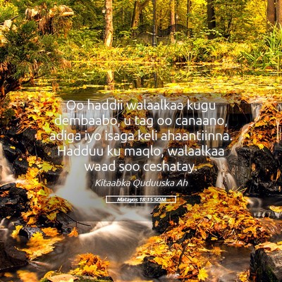 Picture 05 - Matayos 18:15 SOM - Oo haddii walaalkaa kugu dembaabo, u tag oo - Bible Verse Picture