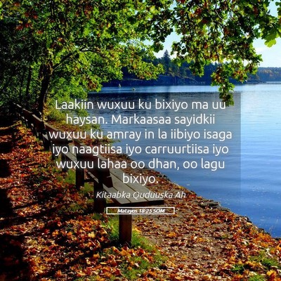 Picture 05 - Matayos 18:25 SOM - Laakiin wuxuu ku bixiyo ma uu haysan. Markaasaa - Bible Verse Picture