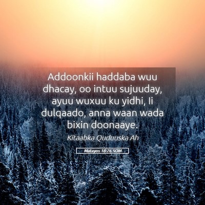 Picture 05 - Matayos 18:26 SOM - Addoonkii haddaba wuu dhacay, oo intuu sujuuday, - Bible Verse Picture