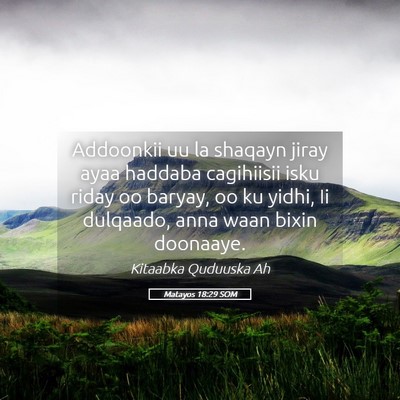 Picture 05 - Matayos 18:29 SOM - Addoonkii uu la shaqayn jiray ayaa haddaba - Bible Verse Picture