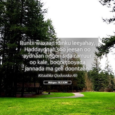 Picture 05 - Matayos 18:3 SOM - Runtii waxaan idinku leeyahay, Haddaydnan soo - Bible Verse Picture