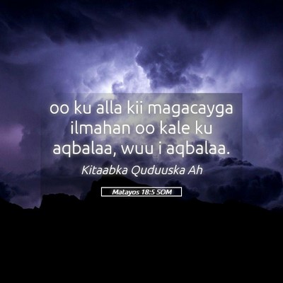 Picture 05 - Matayos 18:5 SOM - oo ku alla kii magacayga ilmahan oo kale ku - Bible Verse Picture