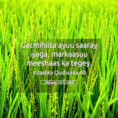 Picture 05 - Matayos 19:15 SOM - Gacmihiisa ayuu saaray iyaga, markaasuu meeshaas - Bible Verse Picture