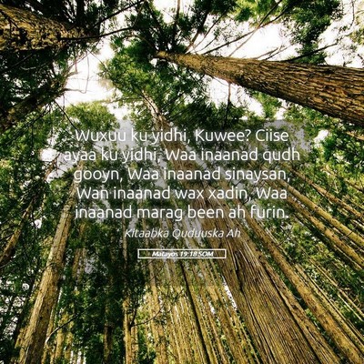 Picture 05 - Matayos 19:18 SOM - Wuxuu ku yidhi, Kuwee? Ciise ayaa ku yidhi, Waa - Bible Verse Picture