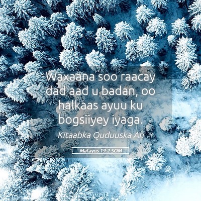 Picture 05 - Matayos 19:2 SOM - Waxaana soo raacay dad aad u badan, oo halkaas - Bible Verse Picture