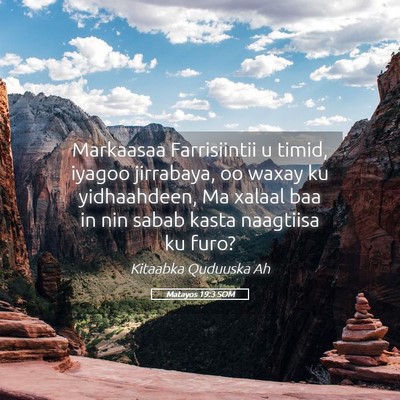 Picture 05 - Matayos 19:3 SOM - Markaasaa Farrisiintii u timid, iyagoo jirrabaya, - Bible Verse Picture