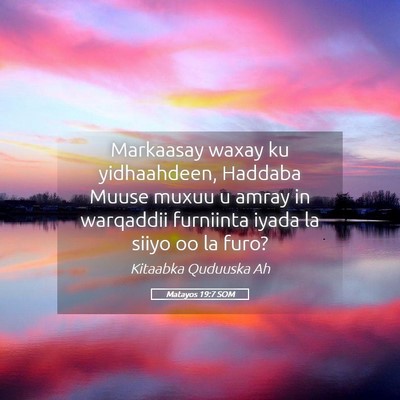 Picture 05 - Matayos 19:7 SOM - Markaasay waxay ku yidhaahdeen, Haddaba Muuse - Bible Verse Picture
