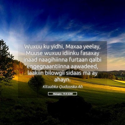 Picture 05 - Matayos 19:8 SOM - Wuxuu ku yidhi, Maxaa yeelay, Muuse wuxuu idiinku - Bible Verse Picture