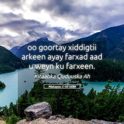 Picture 05 - Matayos 2:10 SOM - oo goortay xiddigtii arkeen ayay farxad aad u - Bible Verse Picture