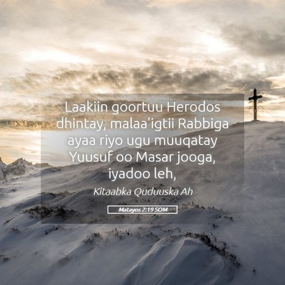 Picture 05 - Matayos 2:19 SOM - Laakiin goortuu Herodos dhintay, malaa'igtii - Bible Verse Picture
