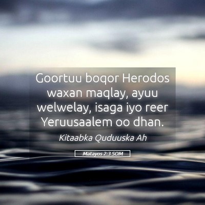 Picture 05 - Matayos 2:3 SOM - Goortuu boqor Herodos waxan maqlay, ayuu - Bible Verse Picture