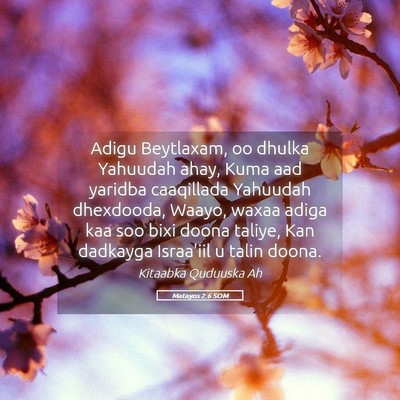 Picture 05 - Matayos 2:6 SOM - Adigu Beytlaxam, oo dhulka Yahuudah ahay, Kuma - Bible Verse Picture