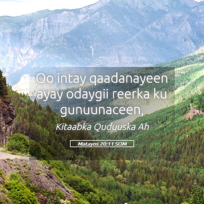 Picture 05 - Matayos 20:11 SOM - Oo intay qaadanayeen ayay odaygii reerka ku - Bible Verse Picture