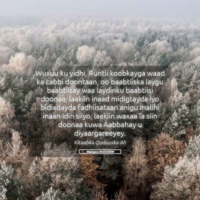 Picture 05 - Matayos 20:23 SOM - Wuxuu ku yidhi, Runtii koobkayga waad ka cabbi - Bible Verse Picture