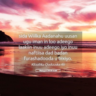 Picture 05 - Matayos 20:28 SOM - sida Wiilka Aadanahu uusan ugu iman in loo adeego - Bible Verse Picture
