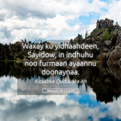 Picture 05 - Matayos 20:33 SOM - Waxay ku yidhaahdeen, Sayidow, in indhuhu noo - Bible Verse Picture