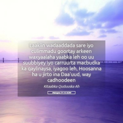 Picture 05 - Matayos 21:15 SOM - Laakiin wadaaddada sare iyo culimmadu goortay - Bible Verse Picture