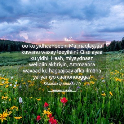 Picture 05 - Matayos 21:16 SOM - oo ku yidhaahdeen, Ma maqlaysaa kuwanu waxay - Bible Verse Picture