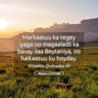 Picture 05 - Matayos 21:17 SOM - Markaasuu ka tegey iyaga oo magaaladii ka baxay - Bible Verse Picture
