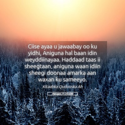 Picture 05 - Matayos 21:24 SOM - Ciise ayaa u jawaabay oo ku yidhi, Aniguna hal - Bible Verse Picture