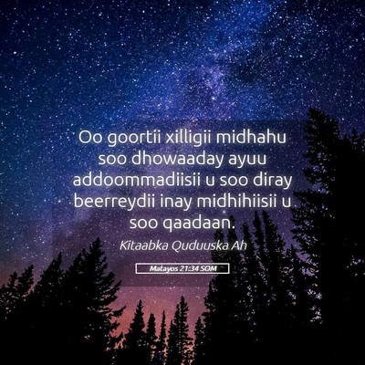 Picture 05 - Matayos 21:34 SOM - Oo goortii xilligii midhahu soo dhowaaday ayuu - Bible Verse Picture