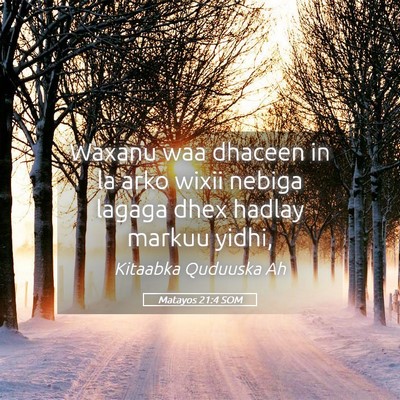 Picture 05 - Matayos 21:4 SOM - Waxanu waa dhaceen in la arko wixii nebiga lagaga - Bible Verse Picture