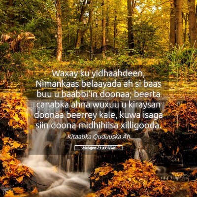 Picture 05 - Matayos 21:41 SOM - Waxay ku yidhaahdeen, Nimankaas belaayada ah si - Bible Verse Picture