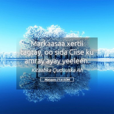 Picture 05 - Matayos 21:6 SOM - Markaasaa xertii tagtay, oo sida Ciise ku amray - Bible Verse Picture