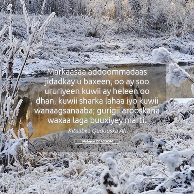 Picture 05 - Matayos 22:10 SOM - Markaasaa addoommadaas jidadkay u baxeen, oo ay - Bible Verse Picture