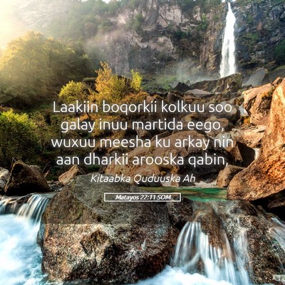 Picture 05 - Matayos 22:11 SOM - Laakiin boqorkii kolkuu soo galay inuu martida - Bible Verse Picture
