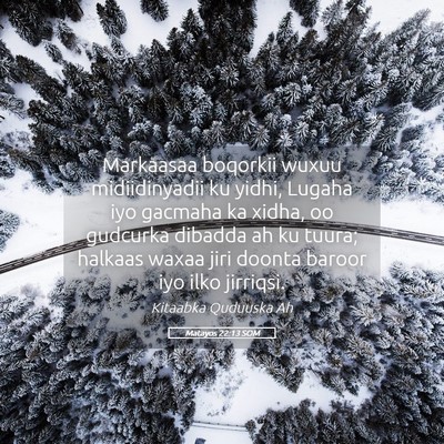 Picture 05 - Matayos 22:13 SOM - Markaasaa boqorkii wuxuu midiidinyadii ku yidhi, - Bible Verse Picture