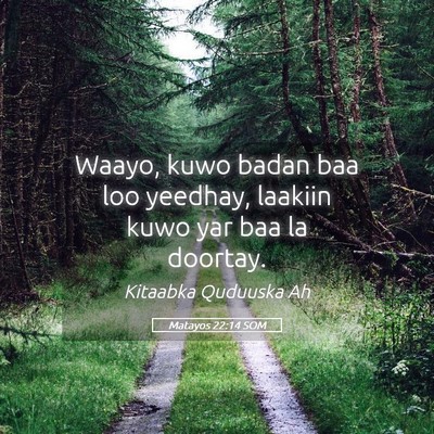 Picture 05 - Matayos 22:14 SOM - Waayo, kuwo badan baa loo yeedhay, laakiin kuwo - Bible Verse Picture