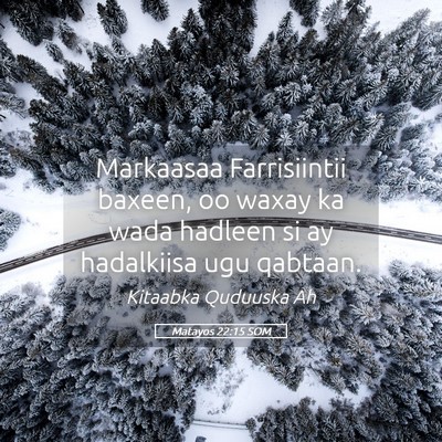 Picture 05 - Matayos 22:15 SOM - Markaasaa Farrisiintii baxeen, oo waxay ka wada - Bible Verse Picture