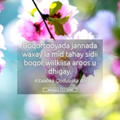 Picture 05 - Matayos 22:2 SOM - Boqortooyada jannada waxay la mid tahay sidii - Bible Verse Picture